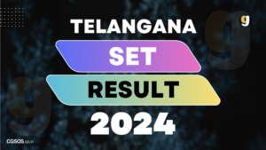 TS SET RESULT 2024,Telangana SET Results 2024,